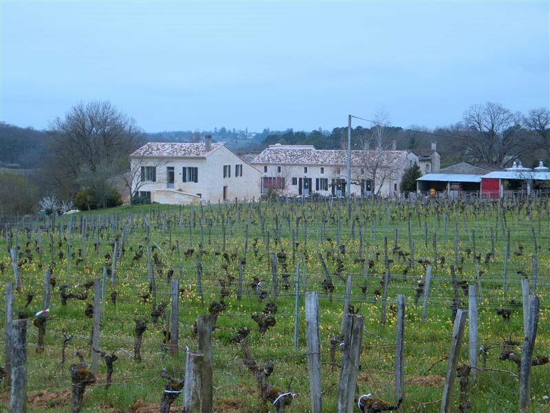 Clos Vieux Rochers Vineyard Puisseguin Exterior foto